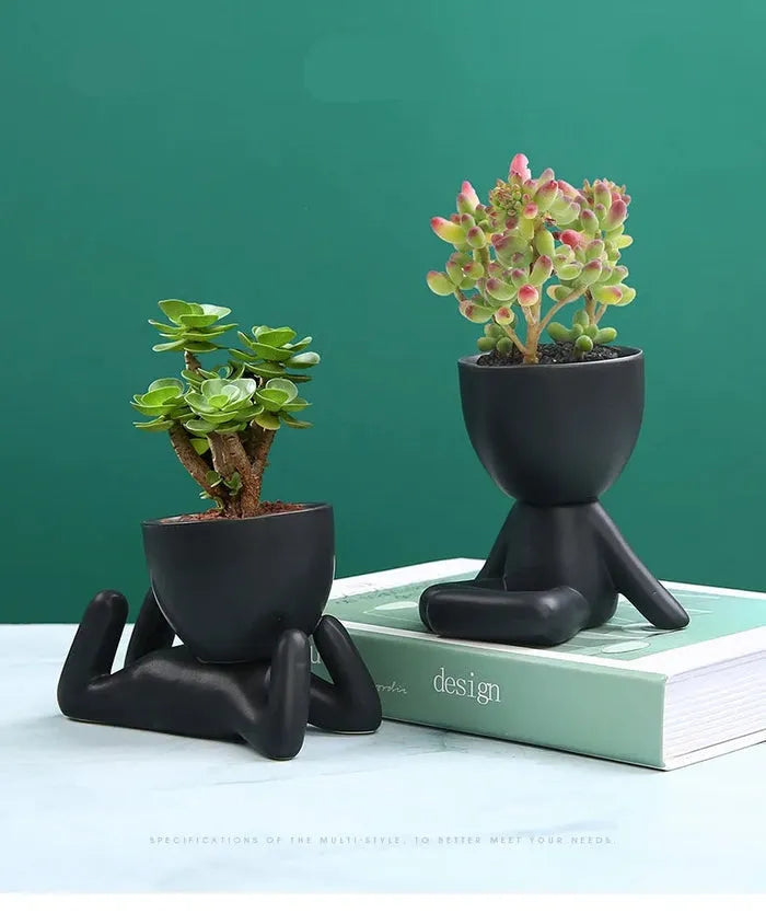 Vaso de Planta Minimalista