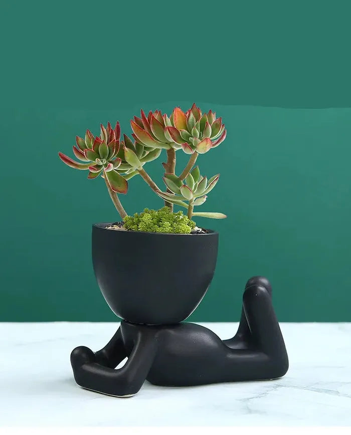 Vaso de Planta Minimalista
