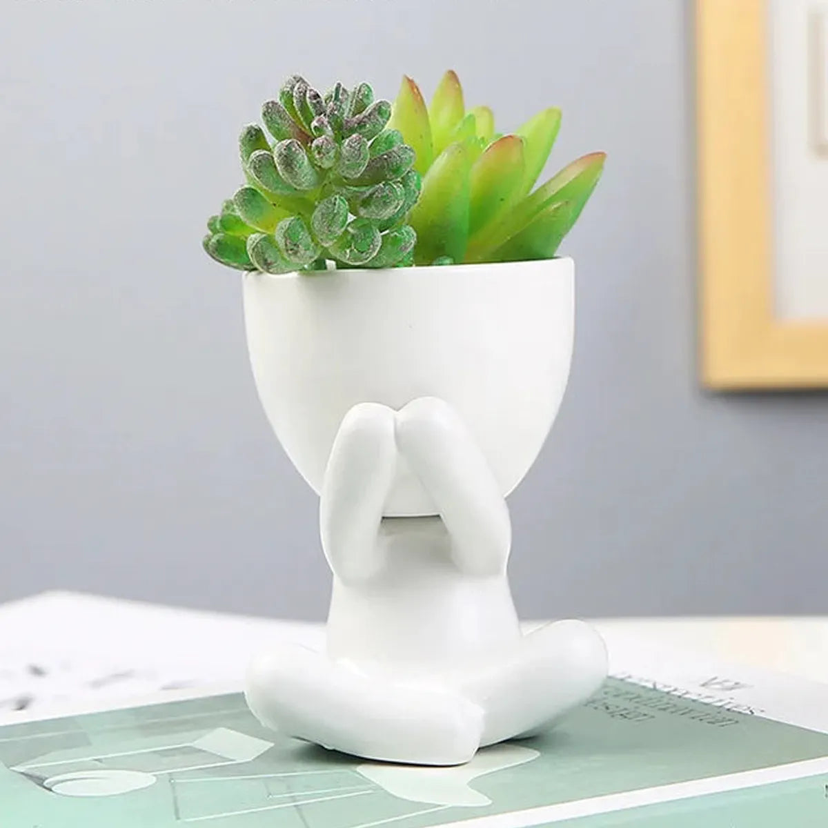 Vaso de Planta Minimalista