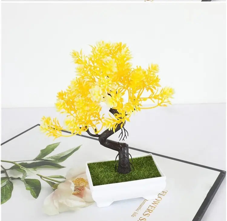 Bonsai