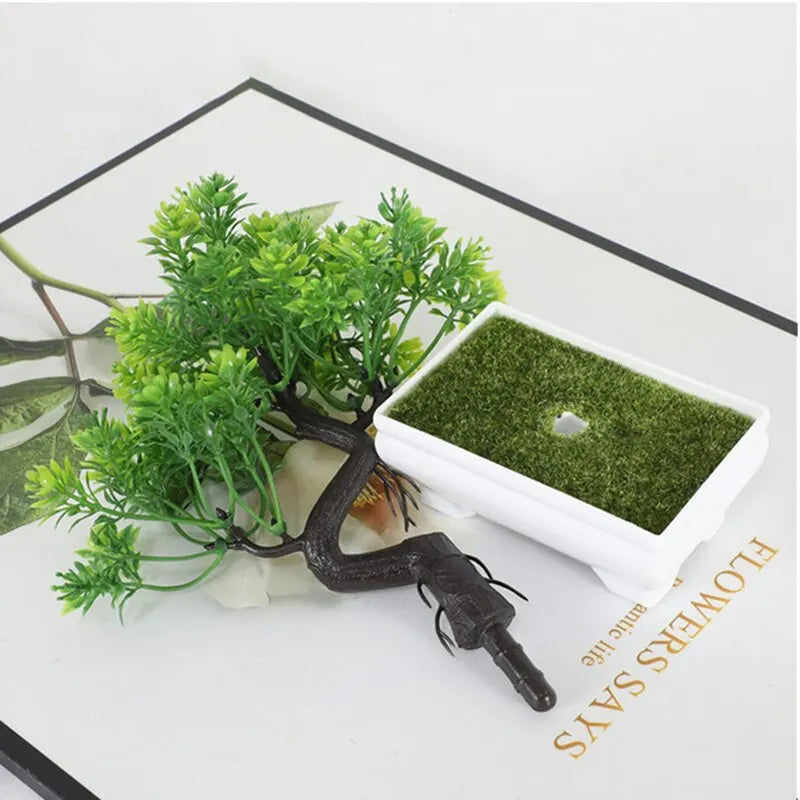 Bonsai