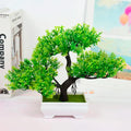 Bonsai Artificial Moderno - Zion™