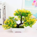 Bonsai Artificial Moderno - Zion™